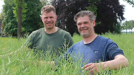 Wieger Bosker (links) en teeltadviseur Jaap Steenhuis Geertsema van WPA-Robertus