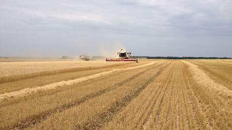 Het ministerie van Landbouw van Rusland voorspelt een graanproductie van 130 miljoen ton in 2022, tegen 121,4 miljoen ton in 2021.