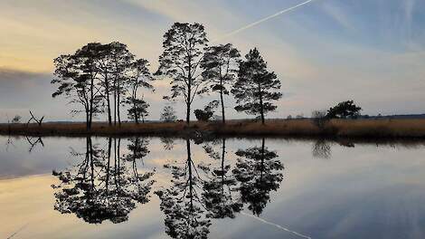 Nationaalpark Dwingelderveld.