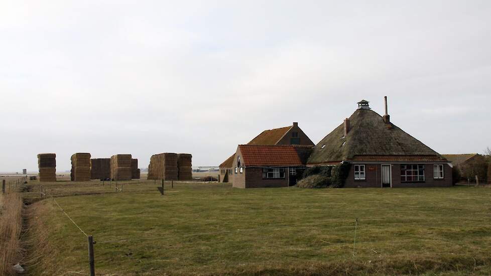 Afbeelding van een boerderij op Texel ter illustratie.