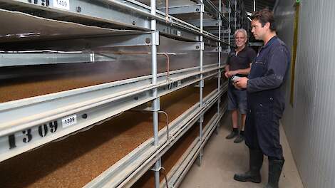Op hun voormalige varkensbedrijf zit nu een meelwormboerderij van Henk en zijn zoons Matthijs (foto) en Eelco Haaring. De meelwormen worden door vernevelaars voorzien van vocht.