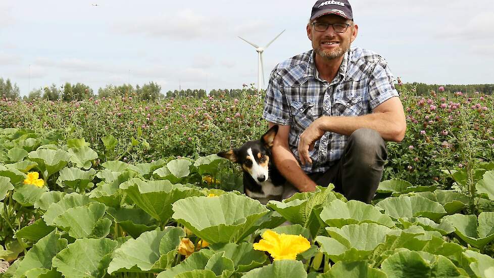 Akkerbouwer Izak Bos teelt pompoenen, bonen, erwten, klaver en bloemranden in strokenteelt. De bloemenranden zorgen ervoor dat biologische vijanden dicht op de gewassen zitten.