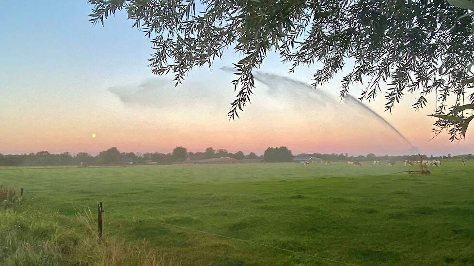 Grasland en droogte - juli 2022