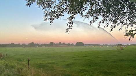 Grasland en droogte - juli 2022