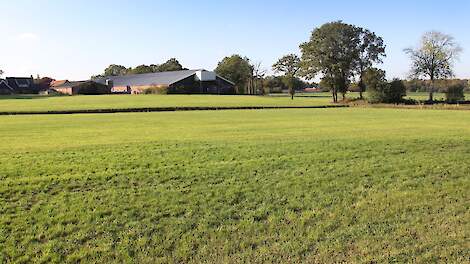 Beeld ter illustratie.