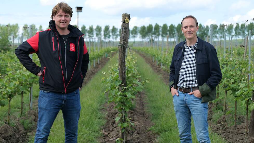 Jeroen van IJzerloo (r), algemeen directeur van Food Hub, bracht onlangs een bezoek aan het agrarisch bedrijf van Boris Noordhoek (l) in Wolphaartsdijk (ZL).