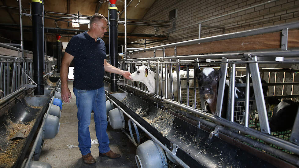 Stefan Thelosen testte zeven brongerichte stalsystemen op zijn kalverhouderij. Het ging onder meer om systemen met aangepaste stalvloeren en het diepkoelen van de mest.