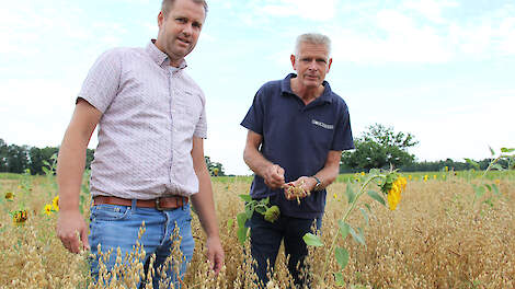 Sjoerd Elgersma (links) en Herbert Hofmeijer vinden dat boeren die natuurinclusieve gewassen telen op pachtgrond van de provincie daar financieel bij moeten worden ondersteund.
