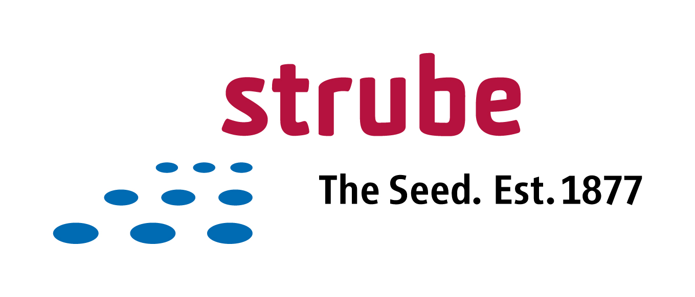 Strube logo