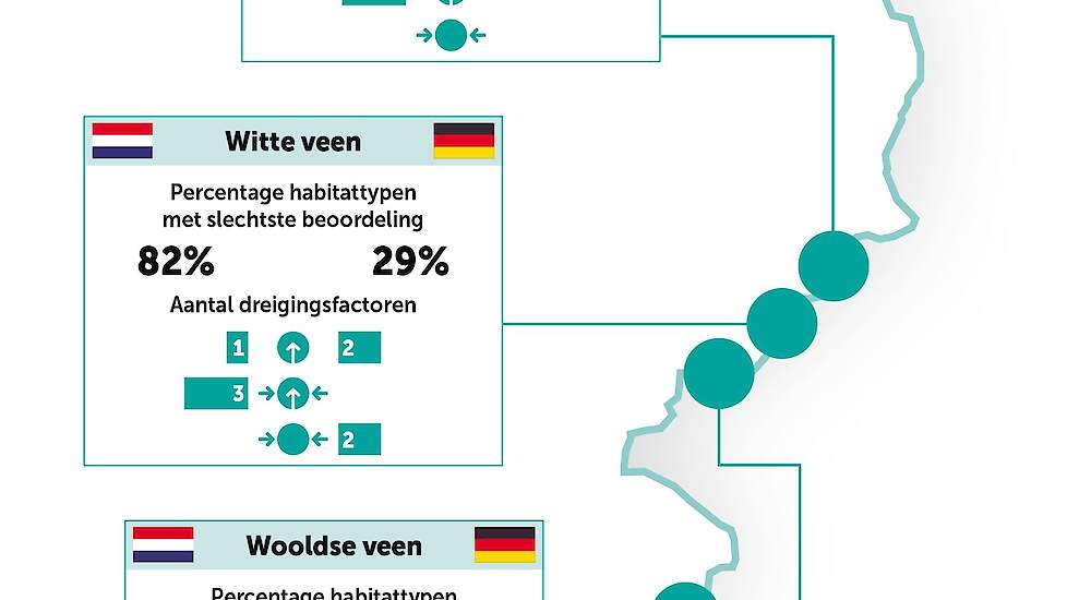 Herstellend hoogveen in het Wooldse veen op de grens met Duitsland.