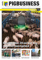 Cover Vakblad Pig Business › Editie 2022-08