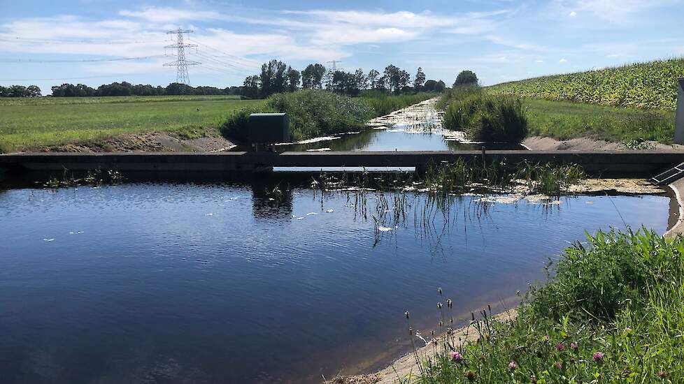 De Dalfserveldwetering bij Nieuwleusen is weer gevuld.