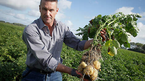 Aardappelteler Leo Dekker is verrast over de goede stand van het gewas, ondanks de droogte van de afgelopen maanden.