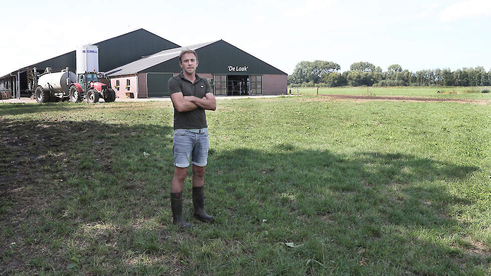 Melkveehouder Ruud Taks begint dit najaar met de aanplant van walnoten in zijn percelen. Hij ziet kansen voor zijn bedrijf met boslandbouw.