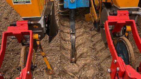 Om het water beter in de grond te laten infiltreren roept Kroonen de telers op om in bieten- en cichoreipercelen steeds de zaai-/spuitsporen los te trekken met bijvoorbeeld een schijf of een cultertand.