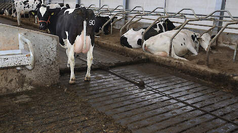 Melkveehouders met een vergunde Meadowfloor (foto) of ECO-vloer zitten waarschijnlijk redelijk safe, volgens De Groot.