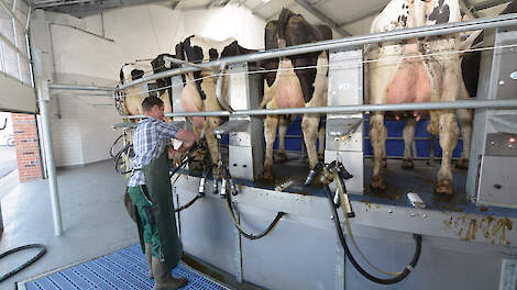 Meer koeien melken betekent niet alleen rekenen met de korte termijn, maar ook met de langere termijn. De grootste valkuil is wanneer niet alle kosten eerlijk worden meegerekend.