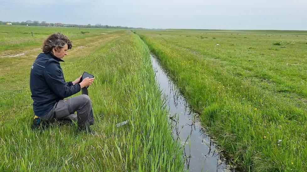 Metingen in het veld naar zilt slootwater op Terschelling door een medewerker van Deltares.