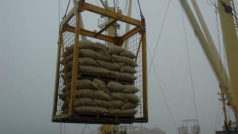 Schip laden met pootgoed