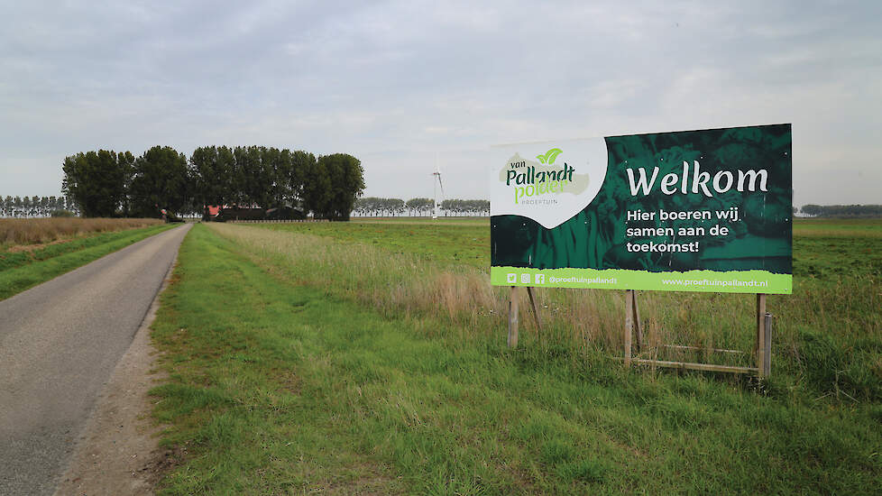 70 hectare in de Van Pallandtpolder is omgevormd tot een proeftuin voor duurzame landbouw. Kringlooplandbouw, biodiversiteit en samenwerking met onderwijsinstellingen zijn daarin belangrijke thema’s.