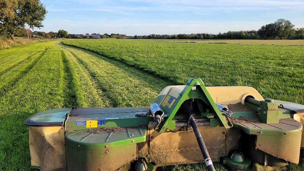 Vers gras maaien en direct voeren. Je ziet aan de linkerbaan al dat het gras nog veel groei heeft en direct weer groen kijkt