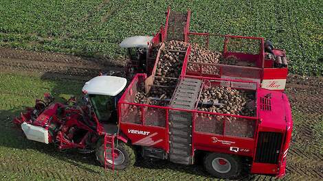 Suikerbieten rooien | Sugar beet harvest | Zuckerrüben roden | Vervaet Q616 | Agrifac | Bietenoogst