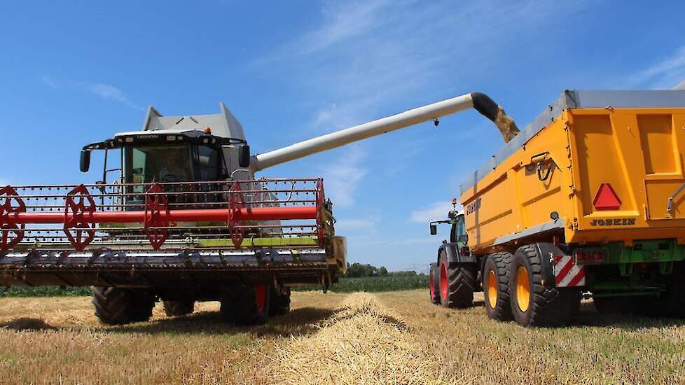 Graanoogst Oekraïne