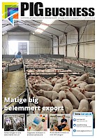 Cover Vakblad Pig Business › Editie 2015-9