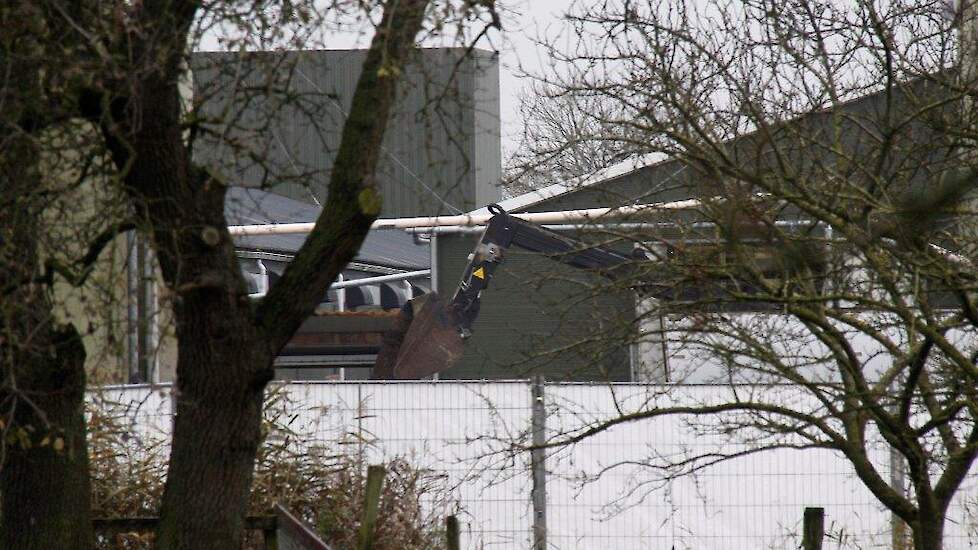 Vleeskuikenhouder Bart Baeyens wil dat na een vogelgriepuitbraak pluimvee binnen een straal van een kilometer niet meer standaard geruimd wordt maar gescreend wordt op de aanwezigheid van vogelgriep. Beeld ter illustratie.