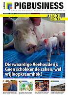 Vakblad Pig Business › Editie 2023-10