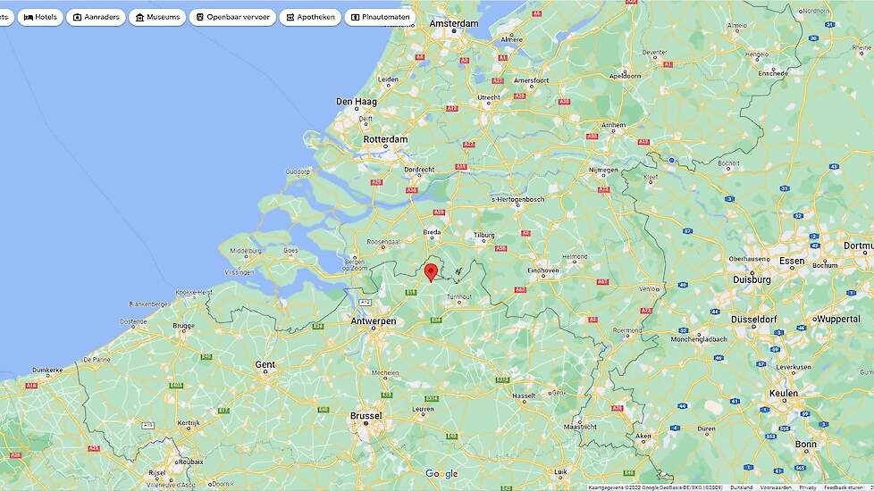Het besmette bedrijf in Hoogstraten in de provincie Antwerpen ligt vlak bij de Nederlandse grens, zie rode punt op de kaart. Een deel van de 3 en 10 kilometerzone met een vervoersverbod ligt hierdoor in Nederland.
