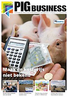 Cover Vakblad Pig Business › Editie 2013-8