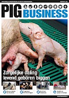 Cover Vakblad Pig Business › Editie 2013-1
