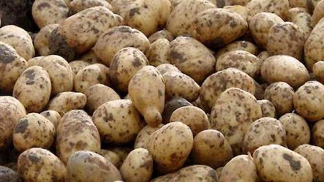 Aardappelen detail