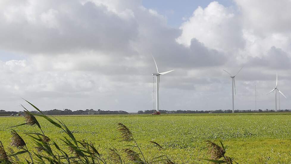 Het opofferen van vruchtbare landbouwgrond in de Wieringermeer voor grootschalige, industriële ontwikkeling is een doorn in het oog van LTO Hollands Kroon.