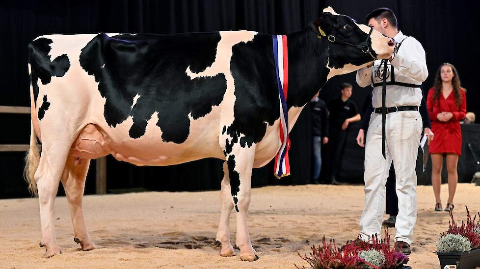 Algemeen kampioen en kampioen middenklasse zwartbont Heerenbrink Angelina.