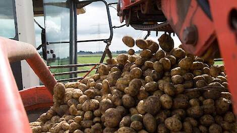 Aardappelen rooien
