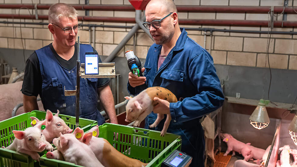 Twan Claessens (rechts) en Barry Willems. Claessens stond aan de basis van een modulair systeem, dat onder meer bestaat uit een een volautomatische spuit voor het toedienen van medicijnen en vaccins, een RFID-oormerk en speciale software.