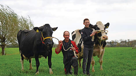 Johan (links) en Rens Mulder met sterkoeien Annelies 85 (links) (v. Delta Money) en Sonja 120 (v. Delta Roppa). „Het is een sport geworden om onze koeien oud te laten worden.”