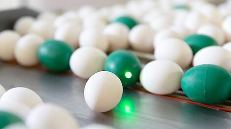 De inpakker en de overgangen van de eierband naar de verzamelband dienen goed afgesteld te zijn om te voorkomen dat te grote krachten op de eieren ontstaan. Met behulp van elektronische eieren kunnen deze krachten in beeld gebracht worden.