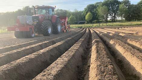 Opbrengstverhogende verruigde aardappelruggen in een proef bij akkerbouwer Bert Merx in Bocholtz