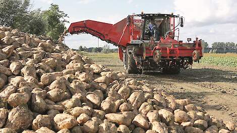 bieten rooien