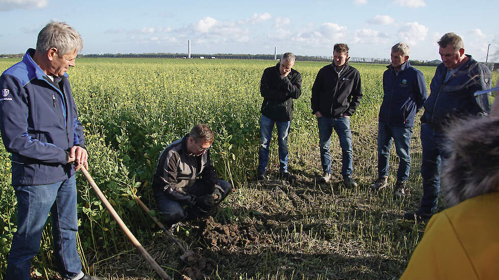 Bij de demo in Biddinghuizen kwamen boeren uit de regio kijken naar de mengsels van Ethiopische mosterd, facelia, Alexandrijnse klaver en wikke.