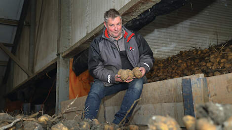 Jan van de Velde teelt 45 hectare Markies en Innovator. Hij maakt zich niet ongerust over de kiemremming van de aardappelen.