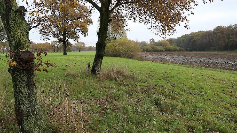 Een willekeurig stukje landbouwgrond bij een Natura 2000-gebied.