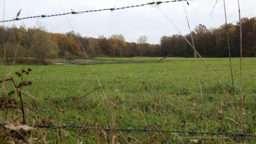 Een willekeuring stuk landbouwgrond in de buurt van een Natura 2000-gebied.