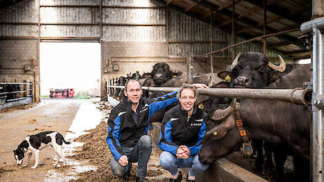 Marcel Smolders en Marion Timmersmans stapten over van melkkoeien naar waterbuffels. „We wilden al langer iets anders doen dan anderen.”
