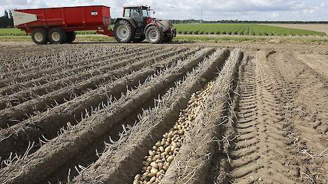 Aardappelen rooien door Booijink in Ens in de Noordoostpolder