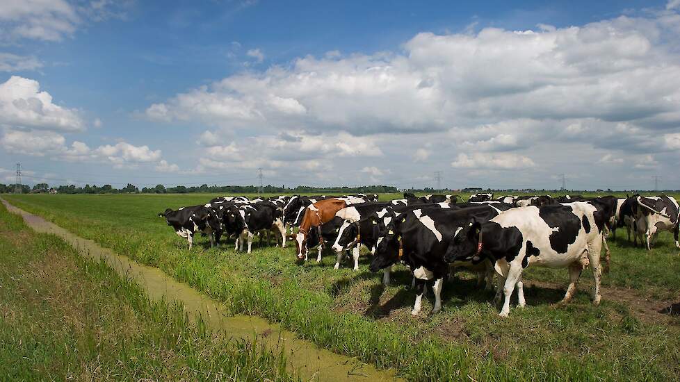 Alfa › Intrekken Natuurvergunning Met Niet In Gebruik Genomen Latente ...