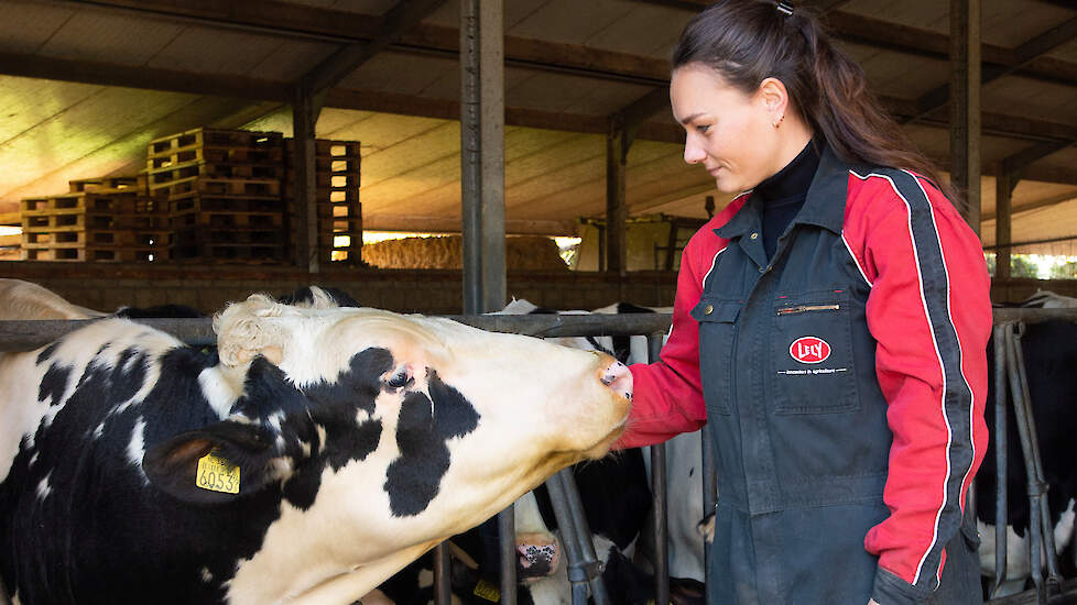 Een blik in de lege jongveeafdeling tijdens de watersnoodramp gaf Elke Thijssen het laatste duwtje richting bedrijfsovername.